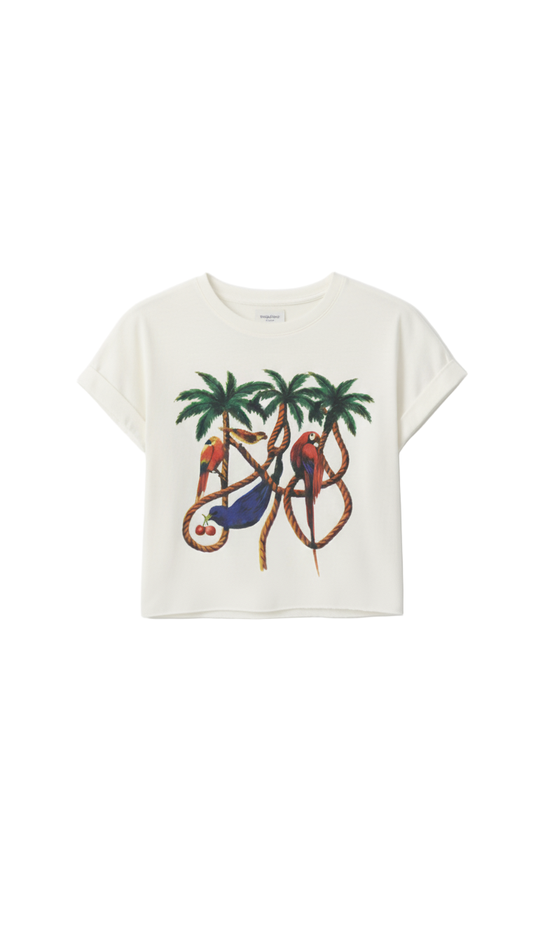 Cropped Arara no Coqueiro