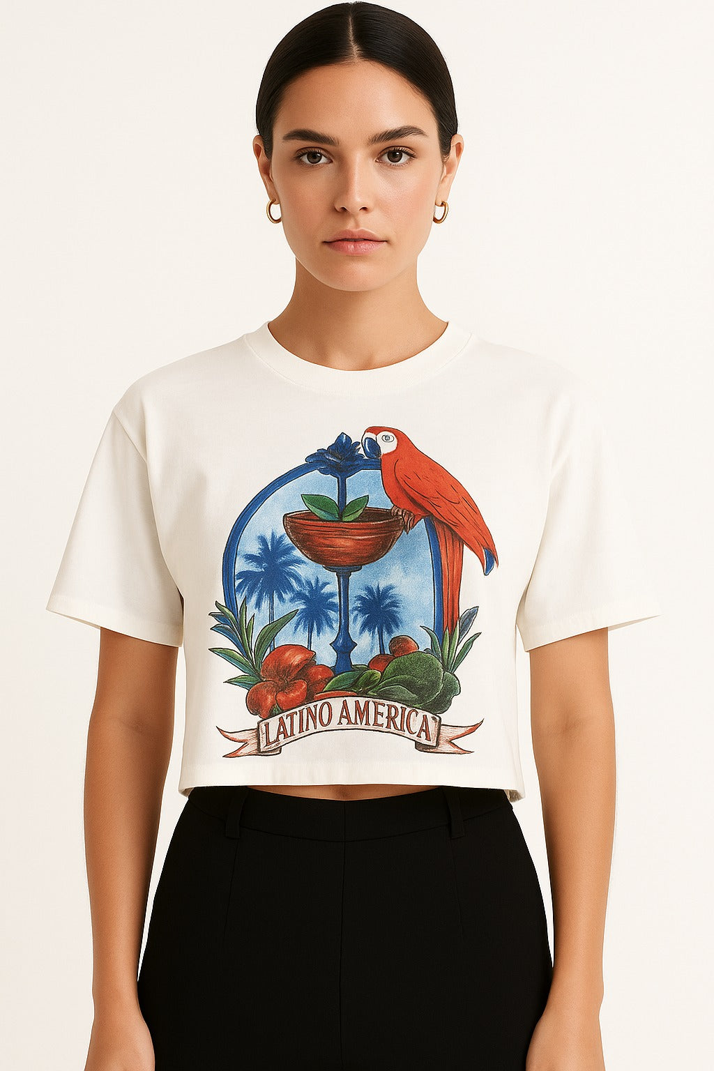 Cropped Latino America